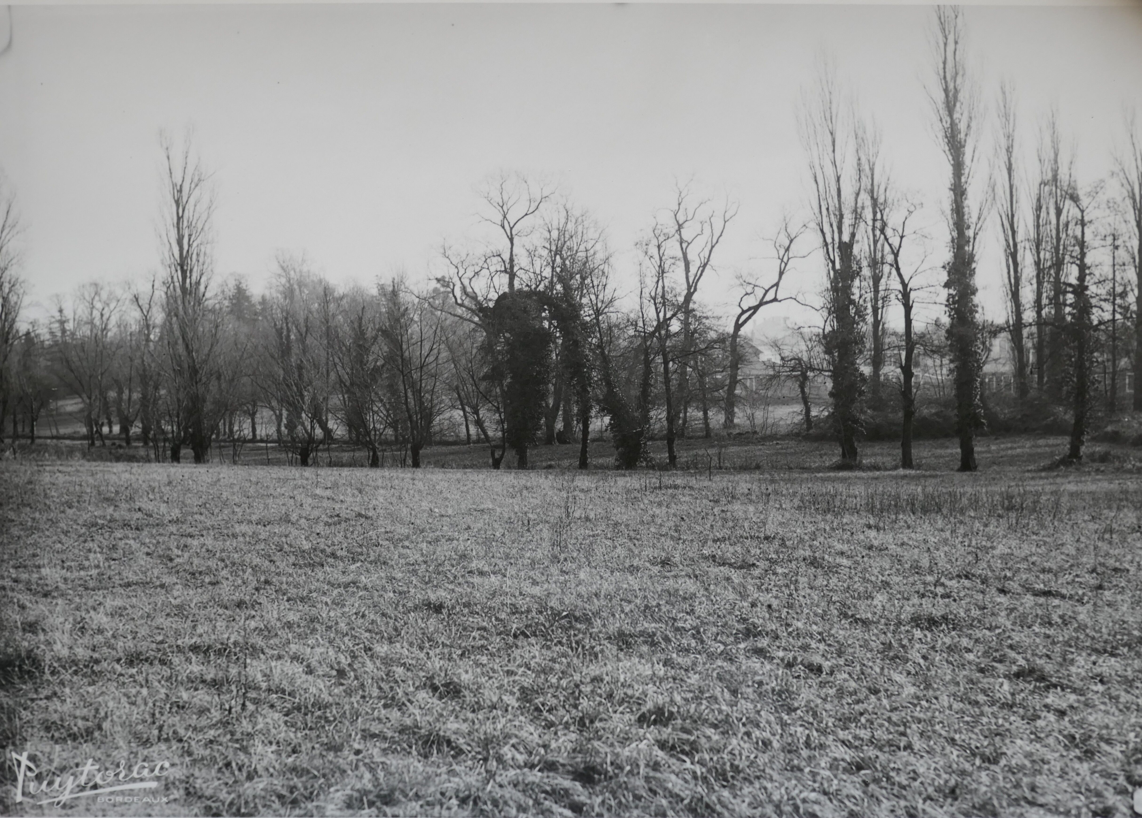 Photographie du site avant les travaux, vue vers le château Carreire I en 1951.