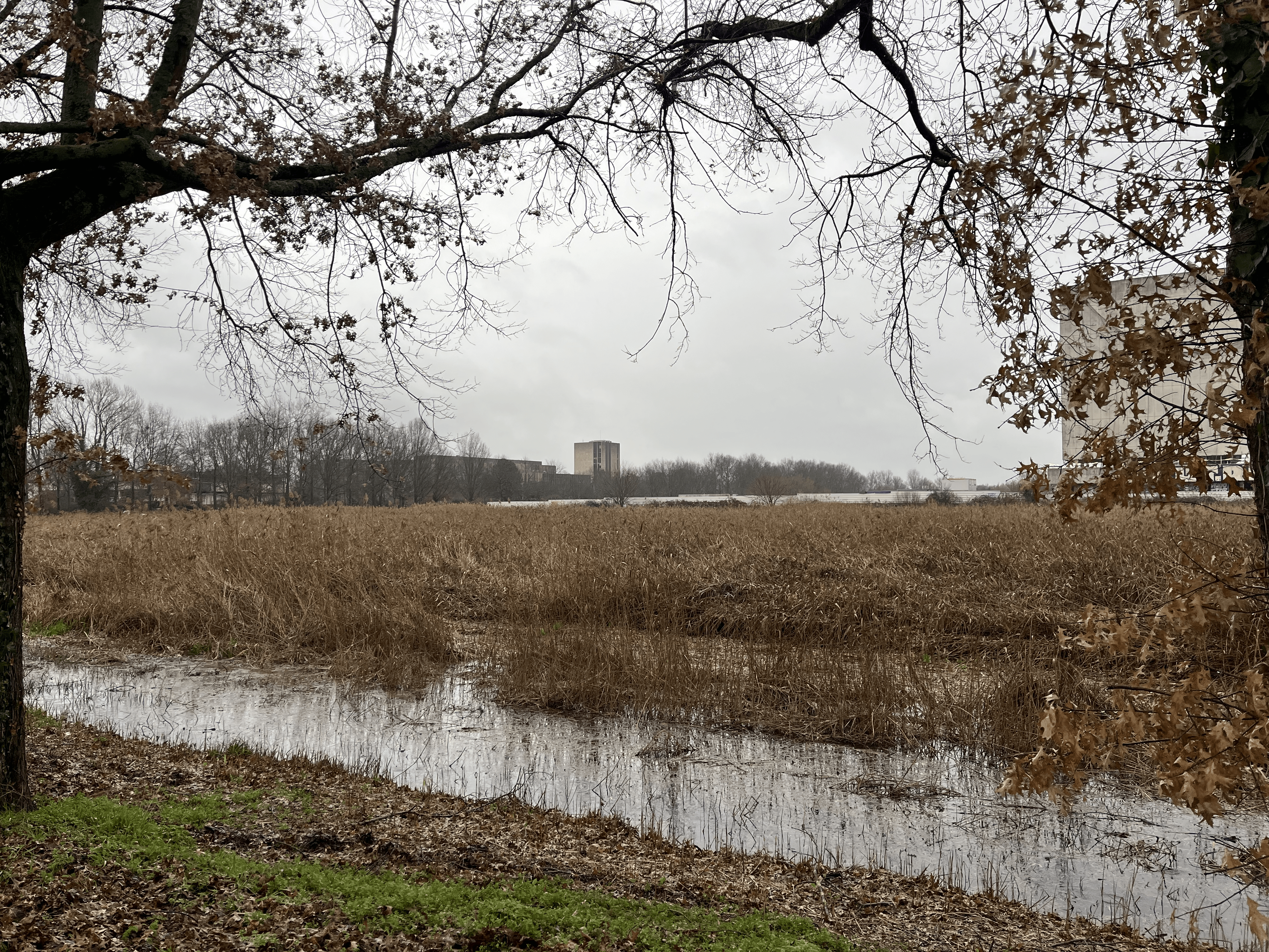 La caisse des dépôts depuis l'avenue de la jallère