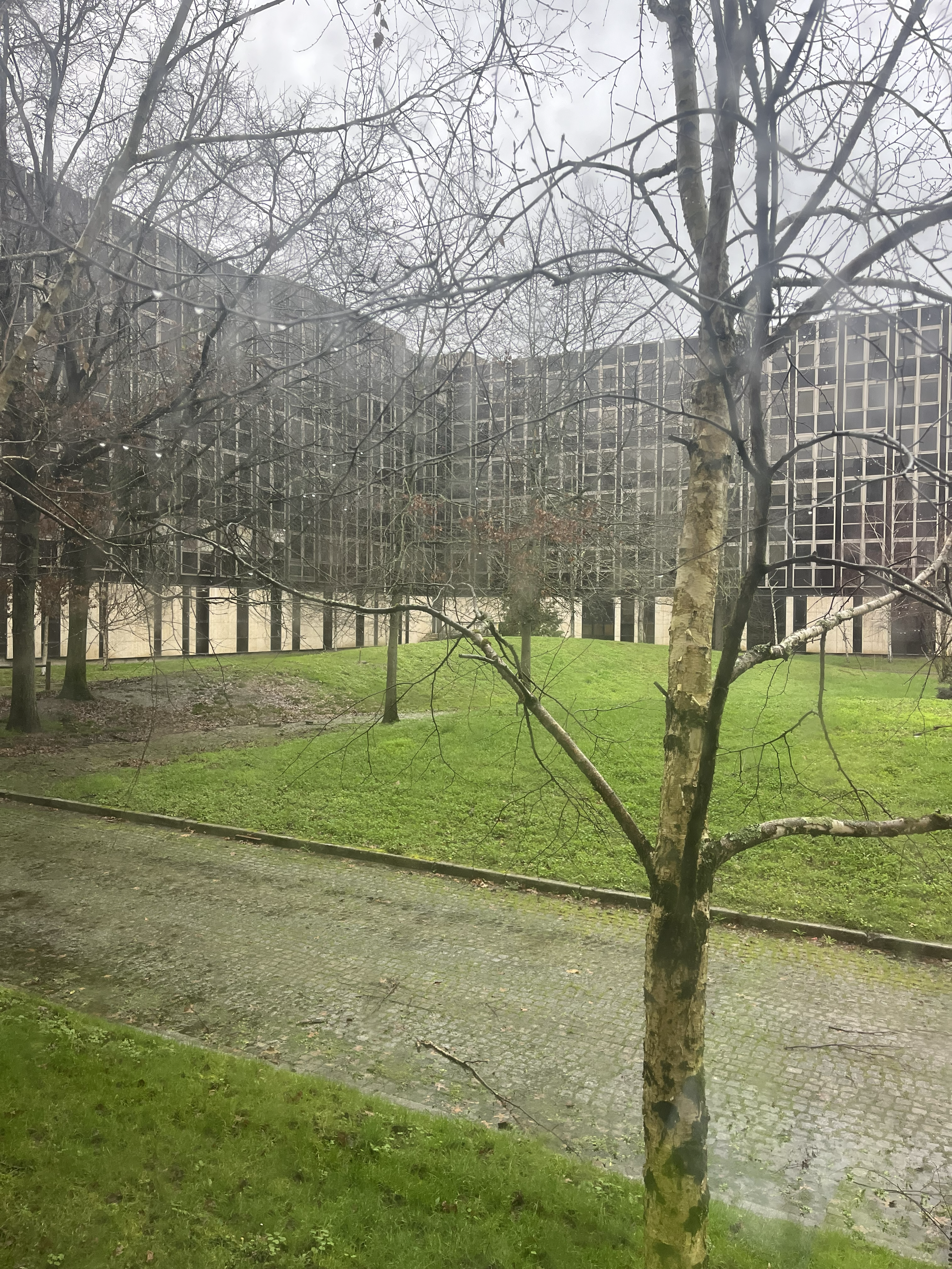 Façades et espace paysager central