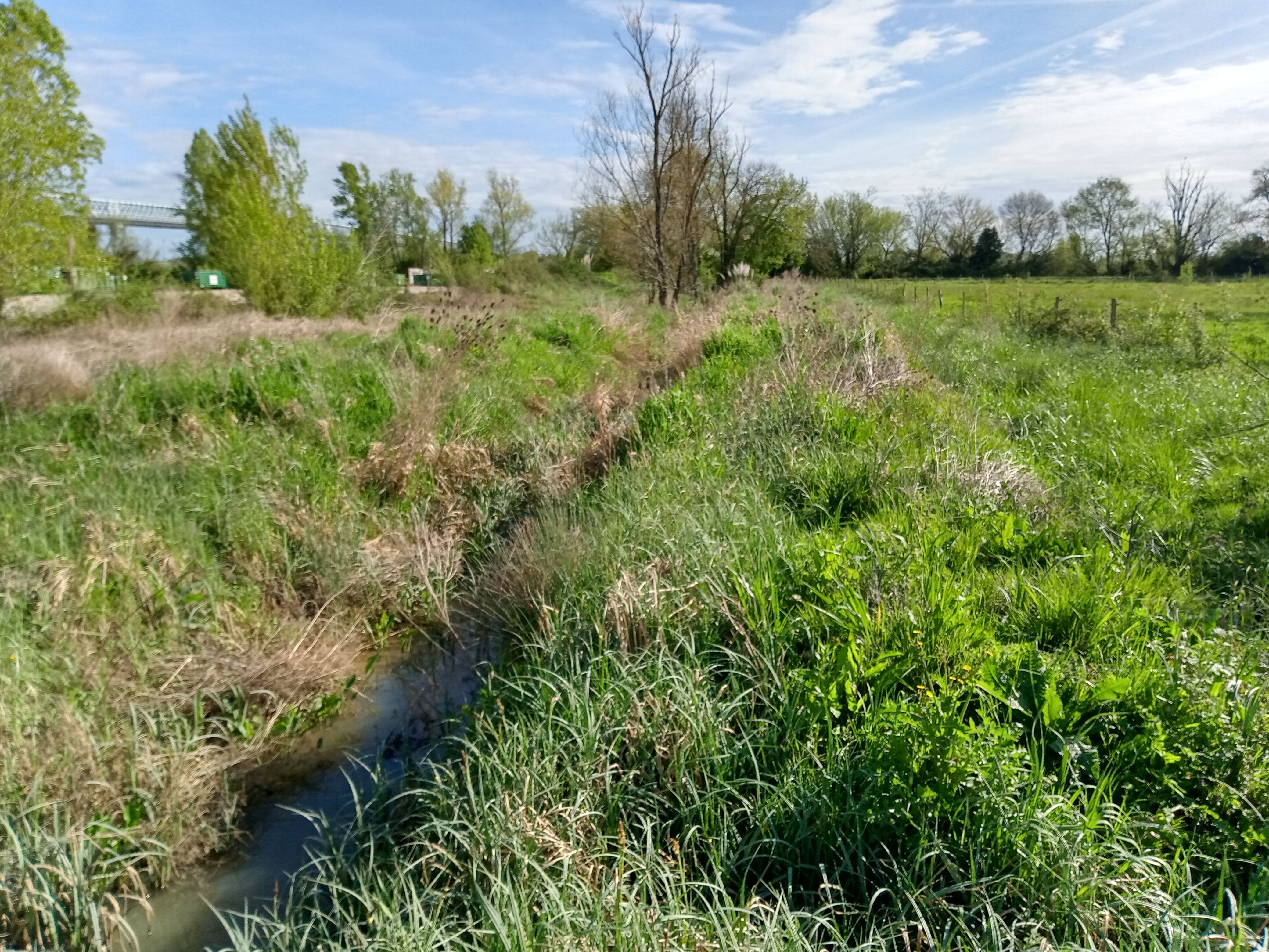Photo de l'aval de la jalle de Massé