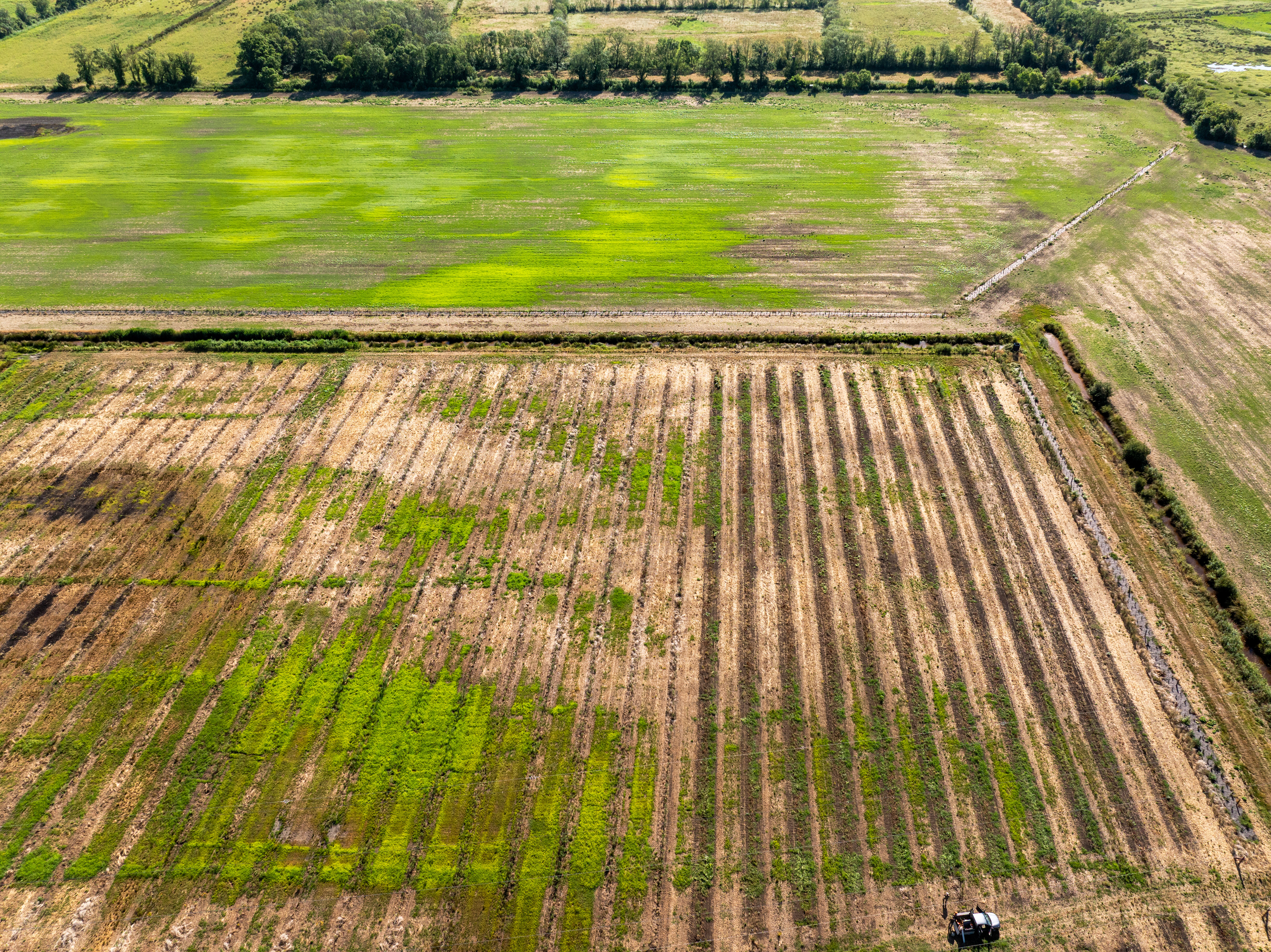 Les nouvelles cultures et la zone biodiversité sur les Marais de Peychaud (juillet 2025)