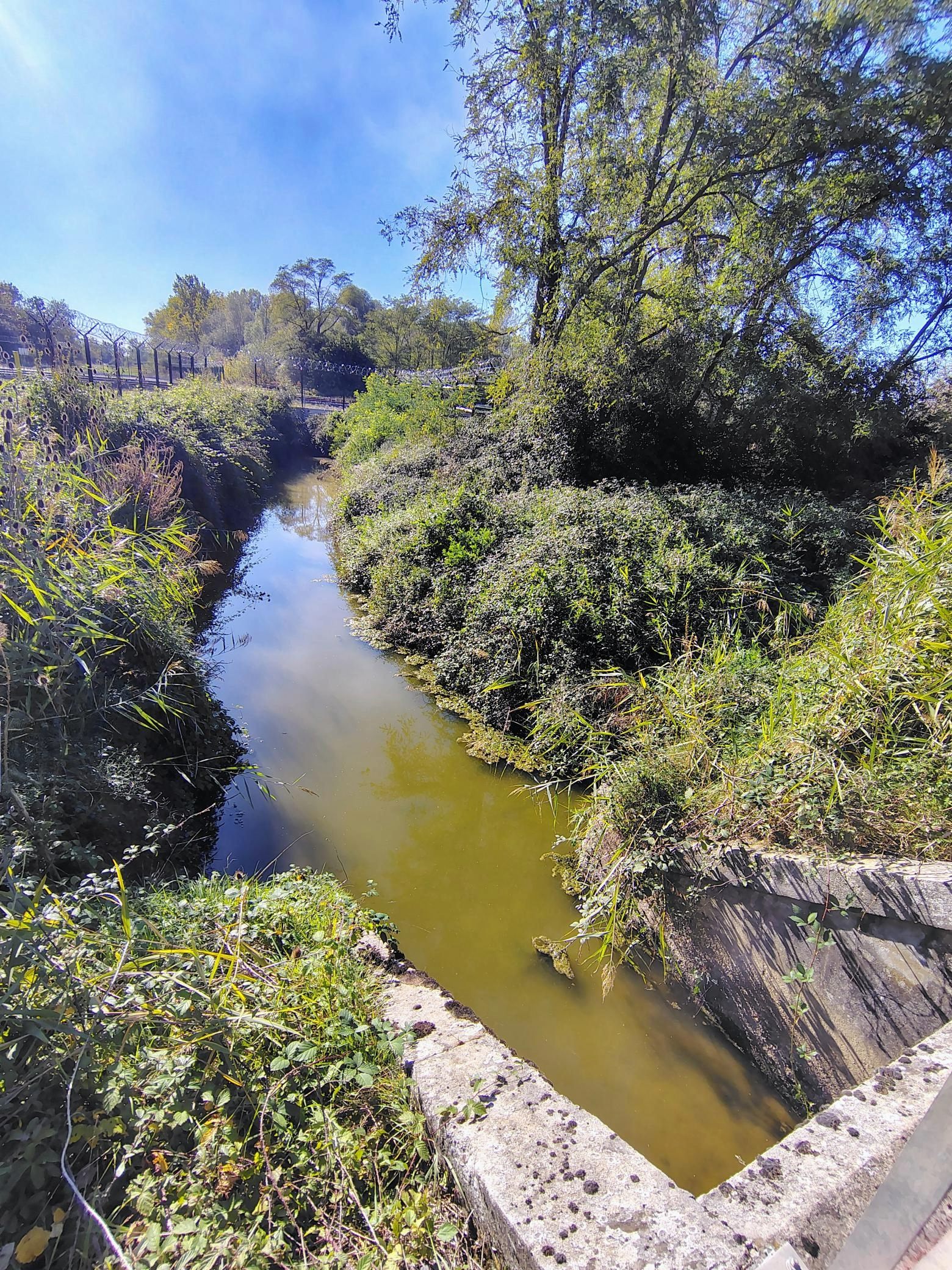 La Gragnodière à l'aval de la voie ferrée, 2025