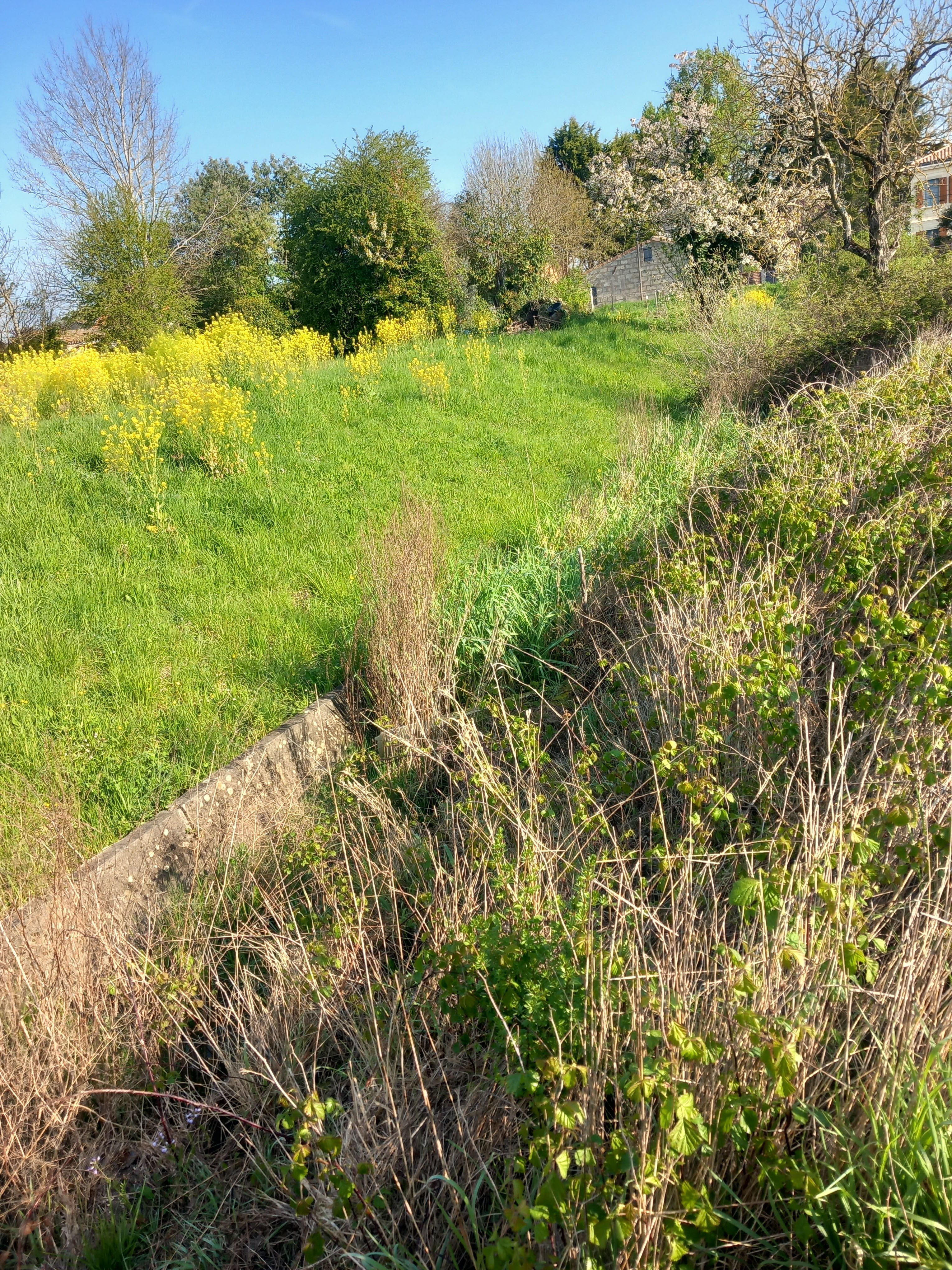 Aval de la jalle cuvelée, 24/03/2026, Bordeaux Métropole