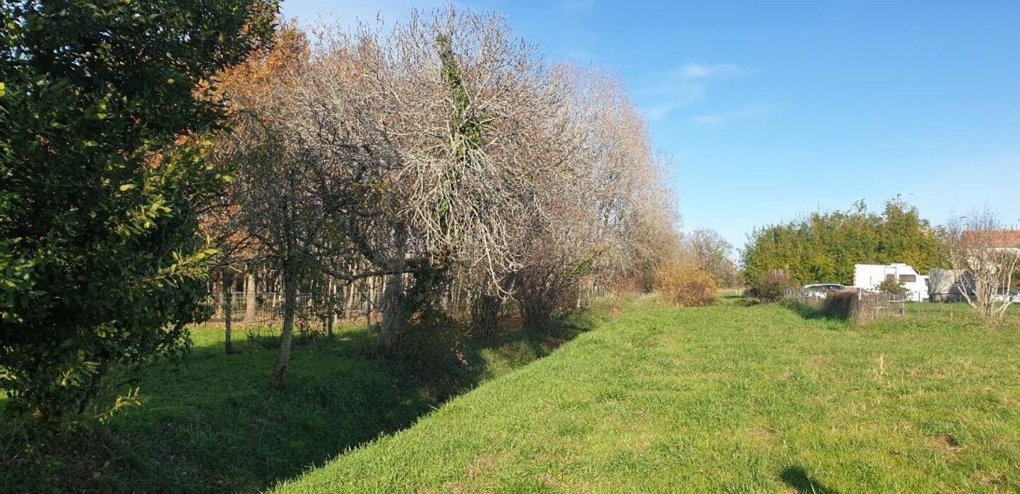 Jalle du Fourat au chemin du milieu, 2025