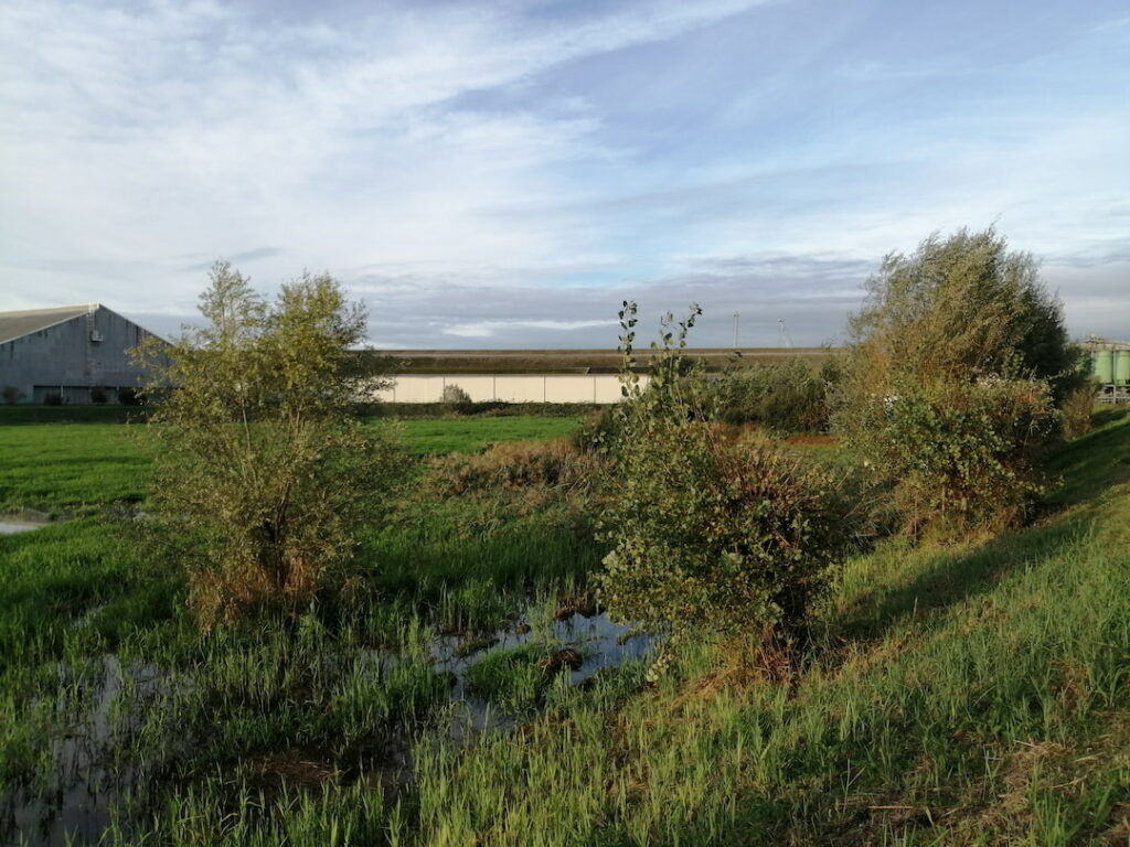 Bassin de l'estey Rabey